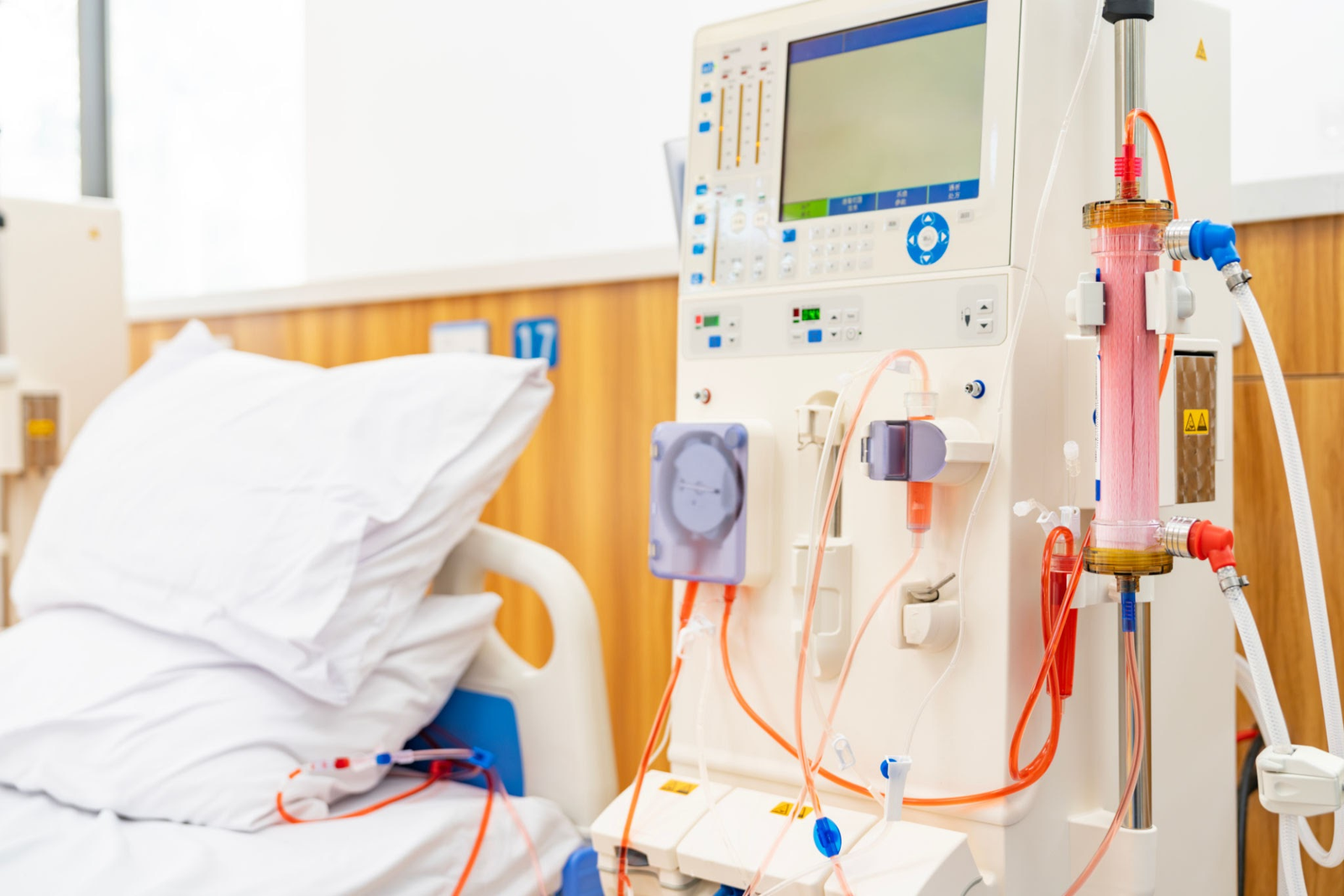 Integrating Dialysis Care with Kidney Transplant Preparation: A Complete Guide
